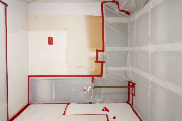 Best Real Estate Mold Inspection  in Cutlerville, MI