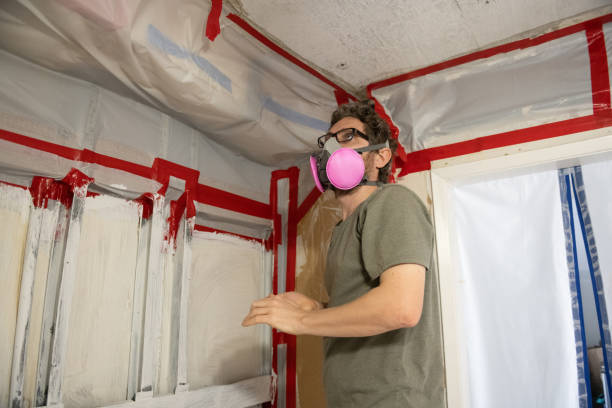 Best Mold Prevention Services  in Cutlerville, MI