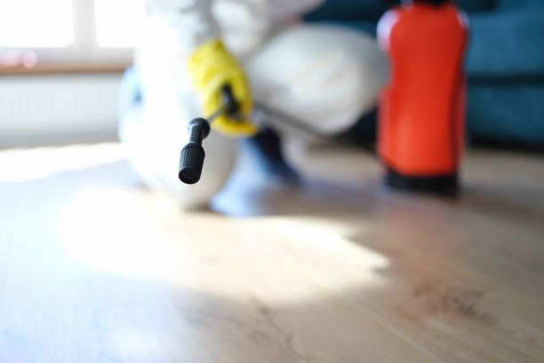 Best Asbestos and Lead Testing During Mold Inspection  in Cutlerville, MI